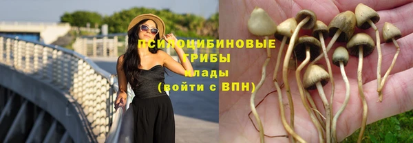ешки Армянск