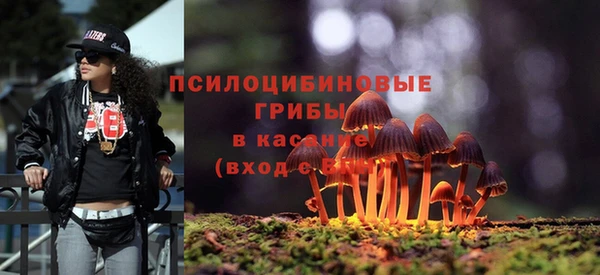 ешки Армянск
