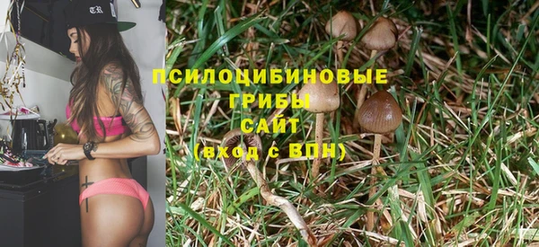 ешки Армянск