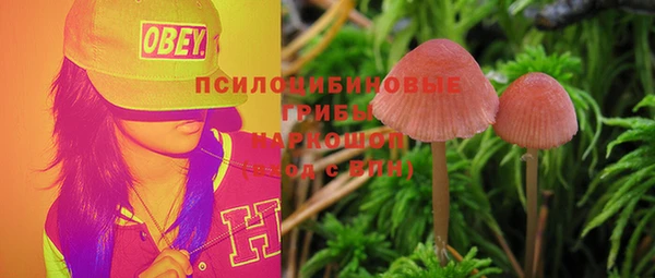 MESCALINE Арсеньев