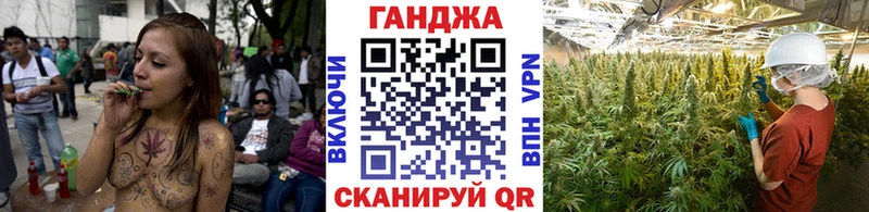 Бошки Шишки Amnesia  Инта 